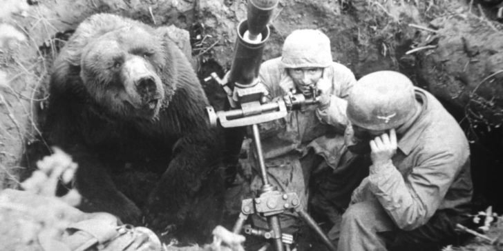 El oso soldado Wojtek, sirvió en el ejercito polaco durante la Segunda Guerra Mundial