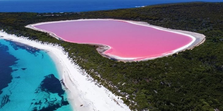 Conoce el hermoso Lago Rosa de Australia