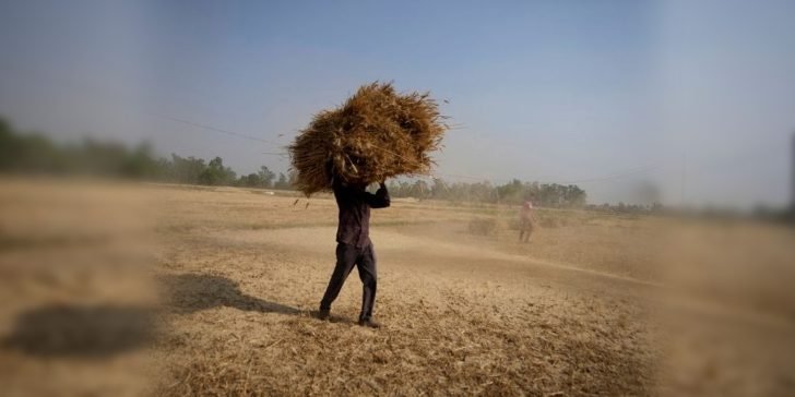 Extrema ola de calor azota India y Pakistán. Millones de personas se ven afectadas.