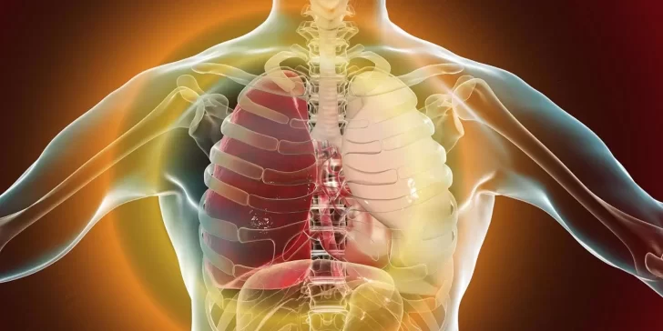 Bronquitis y Neumonía, los principales causantes de la Tos. Conoce cuales son sus diferencias y como tratarle.