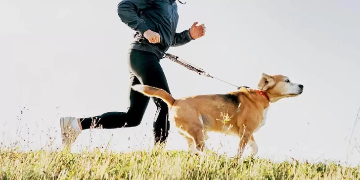 10 consejos para mantener a tu mascota en forma y saludable