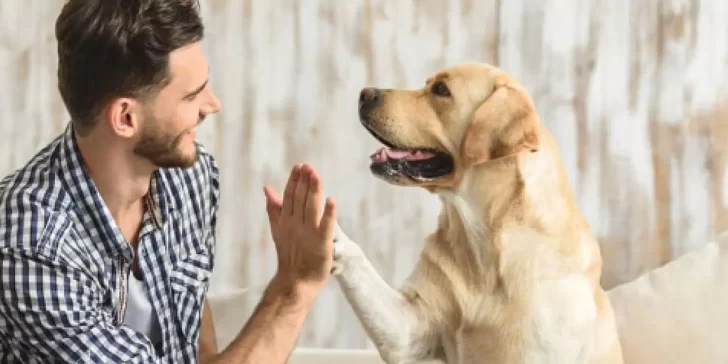 Los beneficios de tener una mascota en casa