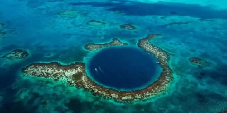 Abismo de Challenger: Estas son las increíbles criaturas que habitan en las profundidades de este abismo.