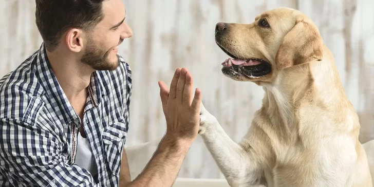 El perro sí es el mejor amigo del hombre y estas son las razones científicas que lo comprueban.