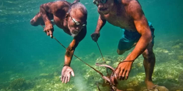 Los Bajau, una tribu que ha mutado genéticamente para vivir gran parte de su vida bajo el agua.